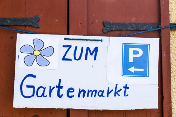 gartenmarkt-gereuth-2015-2-20150712-19546743317B0622FD-A0C8-C239-6C10-5B49C036EF6A.jpg